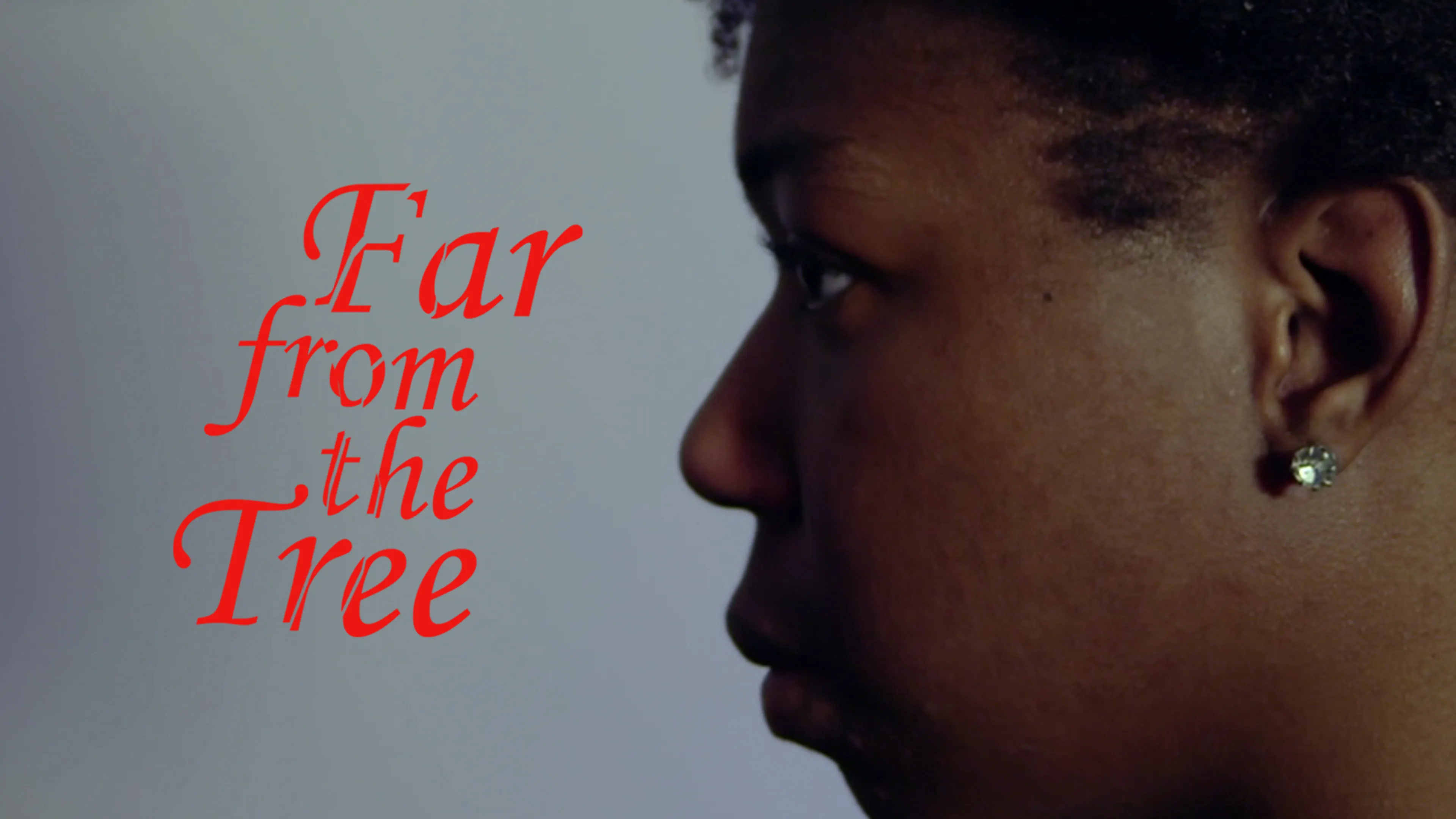 Far from the Tree poster